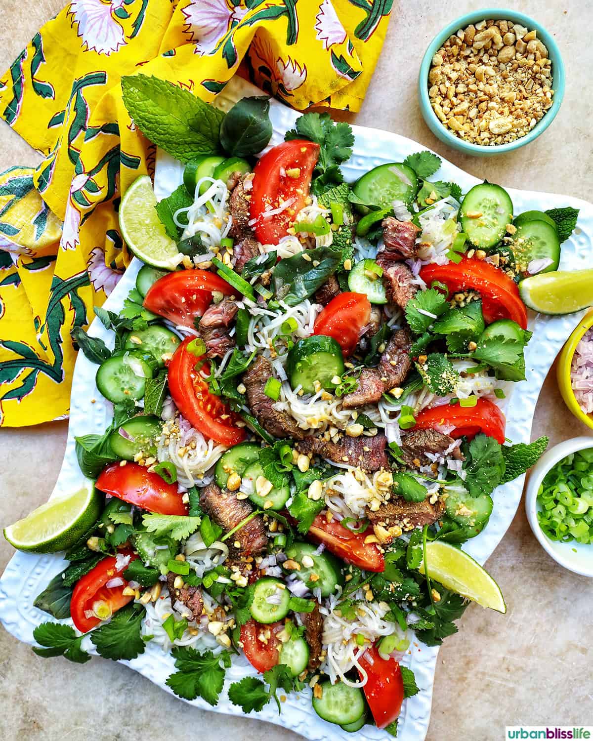 Thai Beef Noodle Salad with cucumbers, tomatoes, and lime wedges on a white platter.
