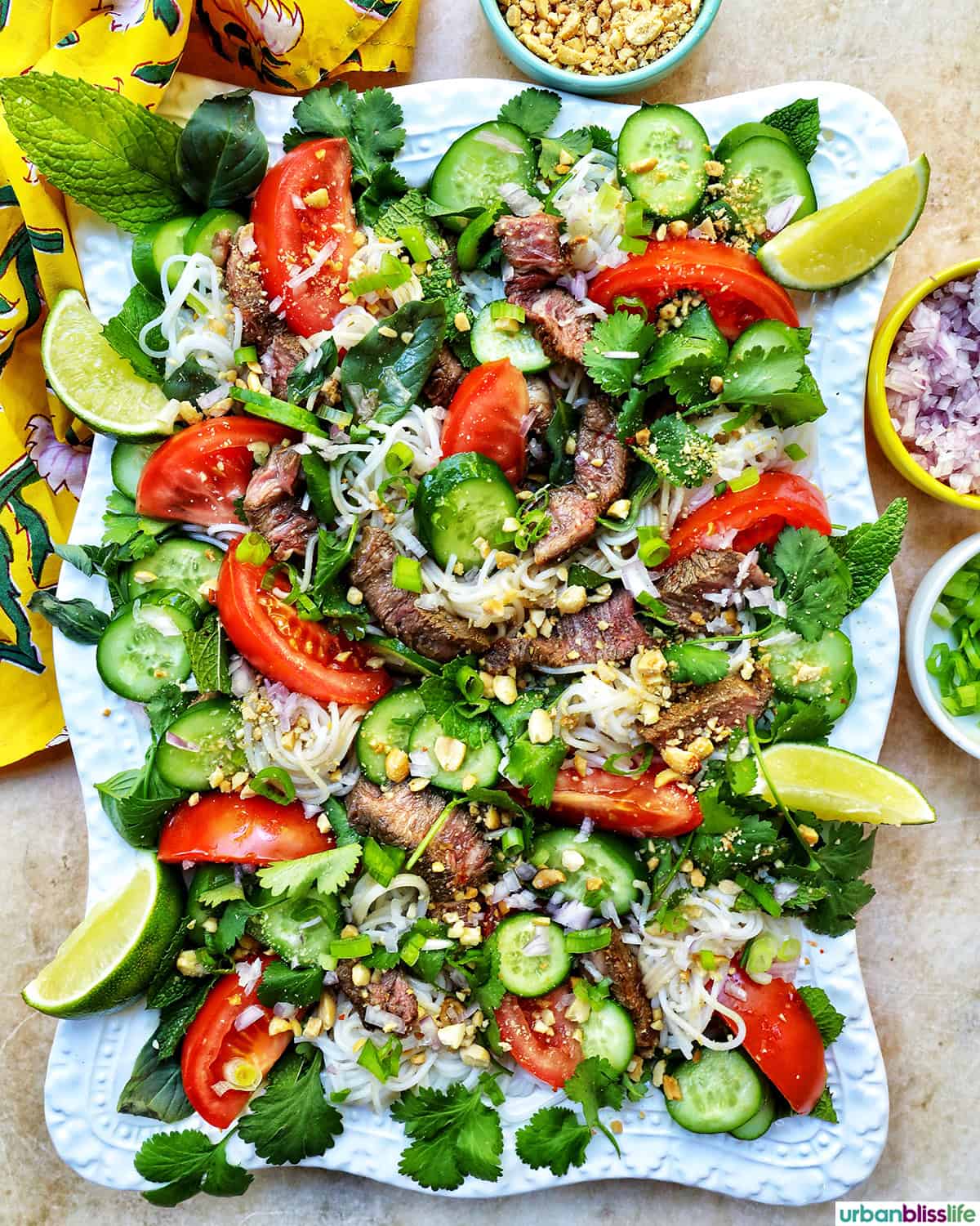 Thai Beef Noodle Salad with cucumbers, tomatoes, and lime wedges on a white platter.