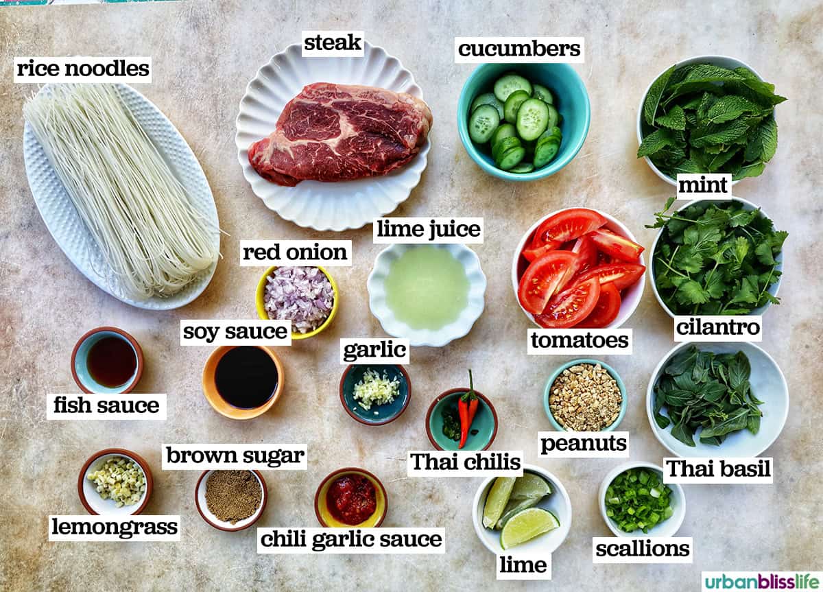 bowls of ingredients to make Thai Beef Noodle Salad.