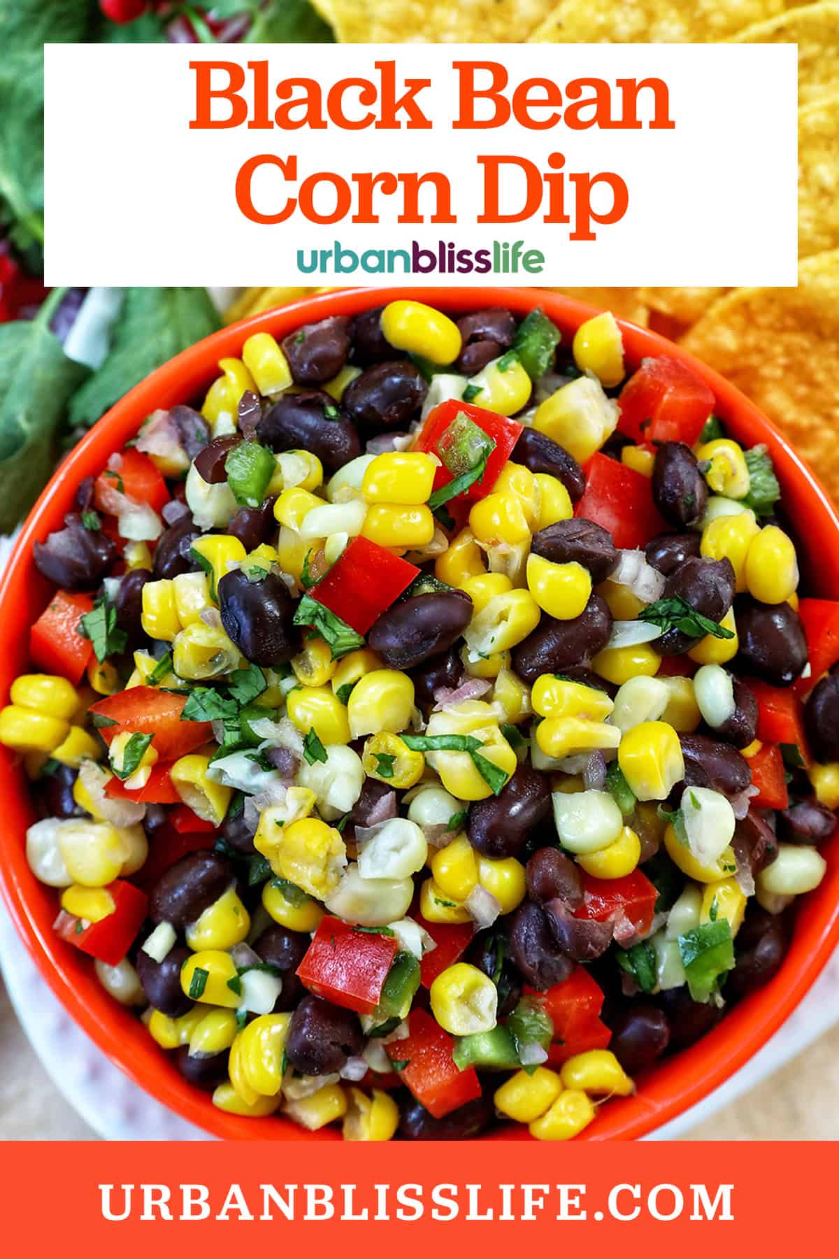 bowl of black bean corn dip with side of chips and title text overlay.