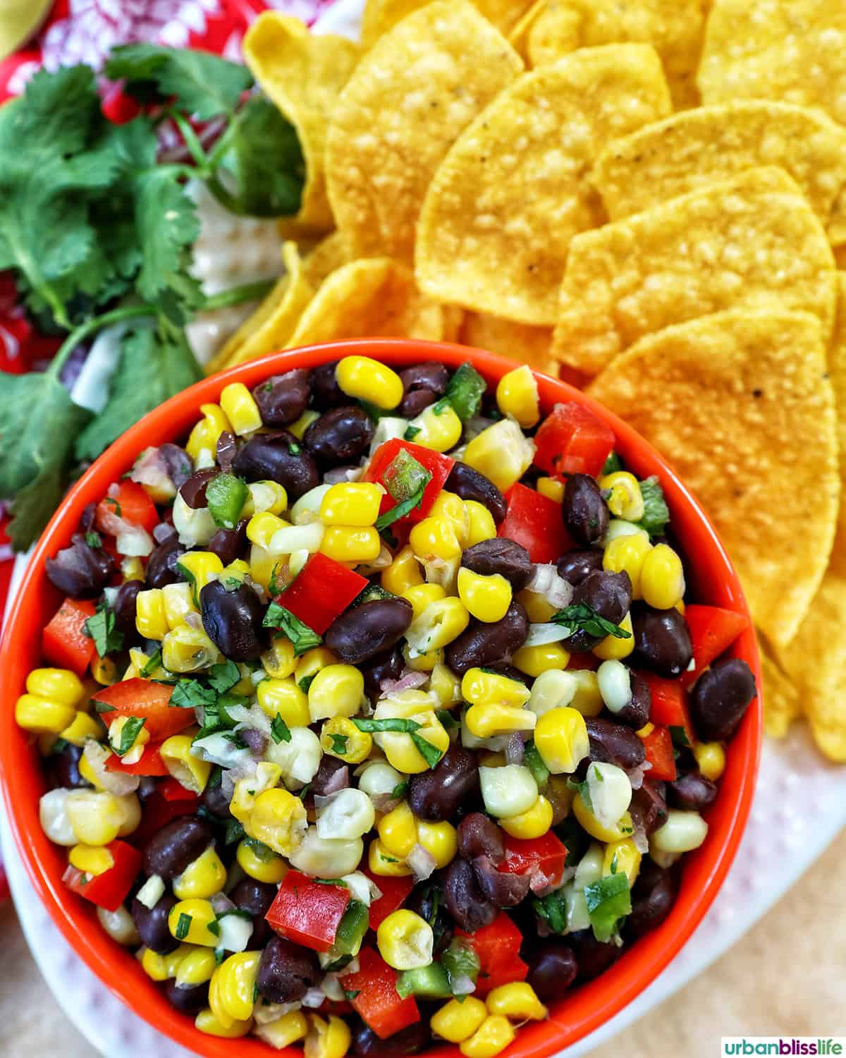 bowl of black bean corn dip with side of chips.