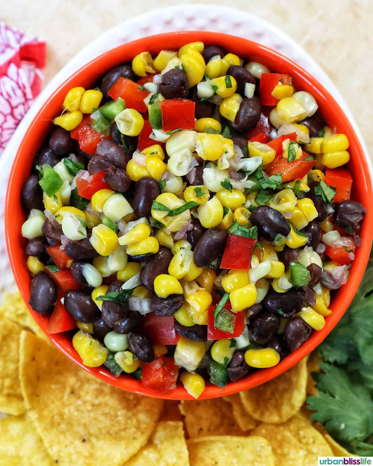 bowl of black bean corn dip with side of chips.