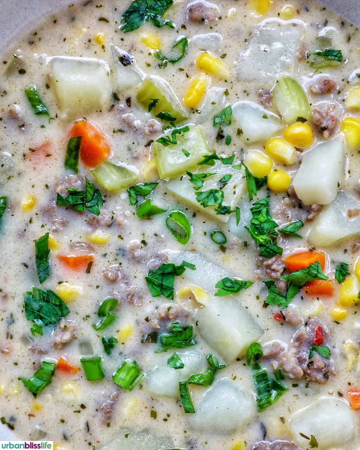 closeup of corn and sausage chowder.