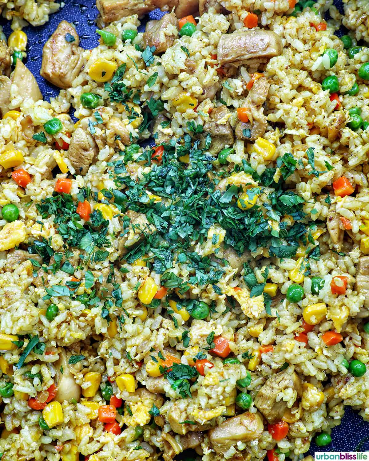 curry chicken fried rice in a pan.