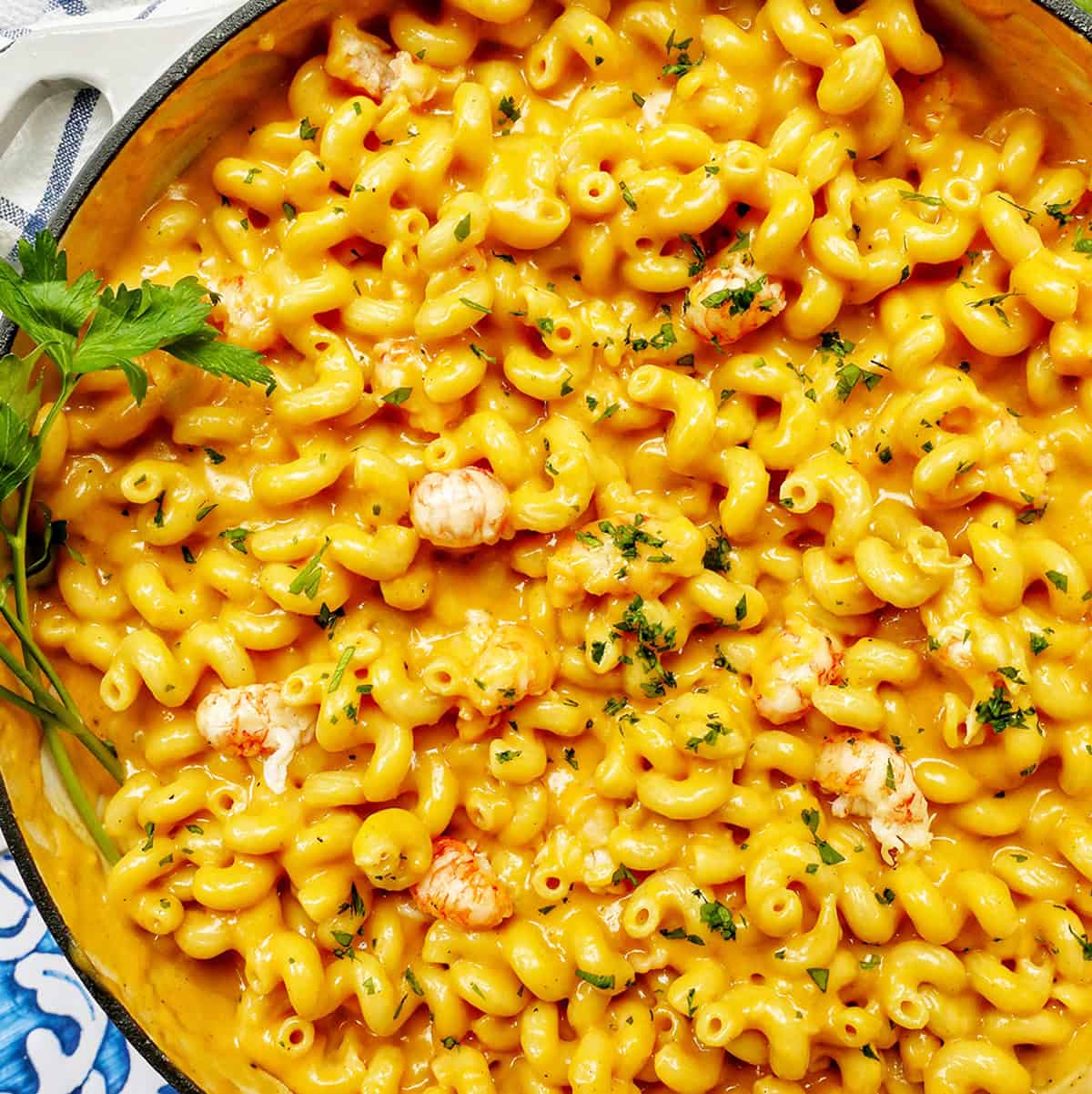 pan of lobster mac and cheese.