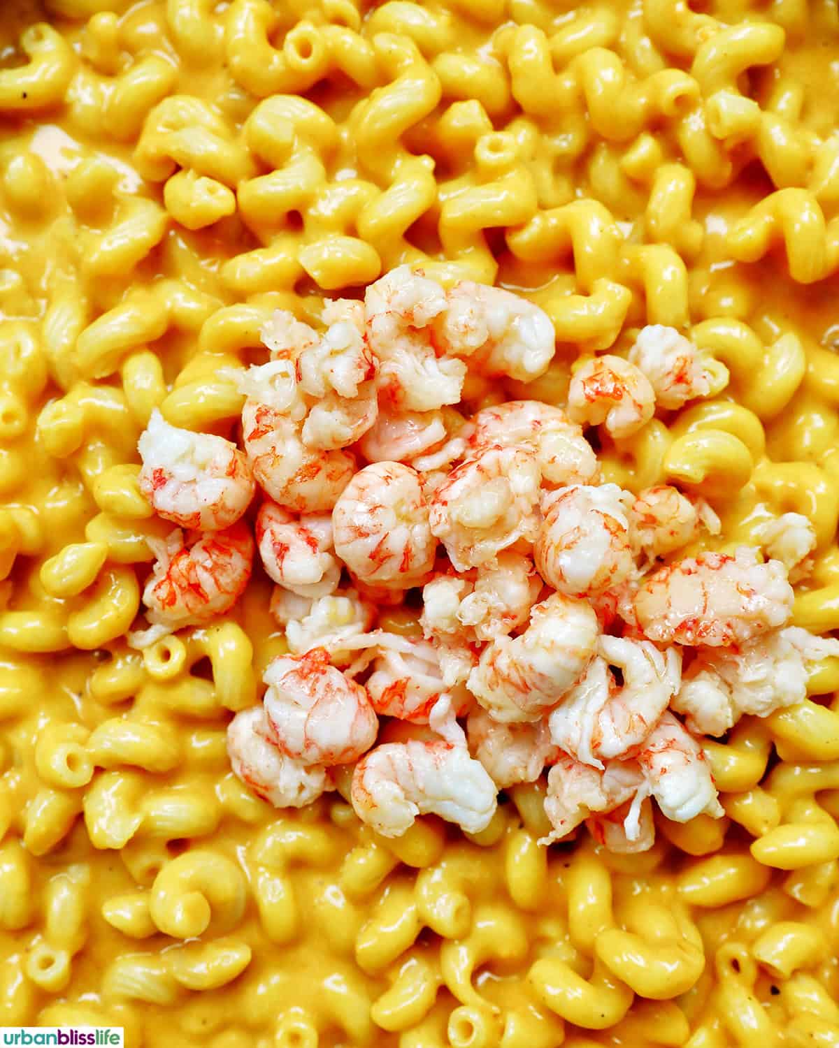 lobster added to dairy-free mac and cheese.