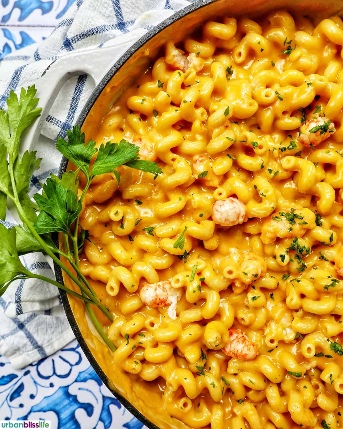 pan of lobster mac and cheese.