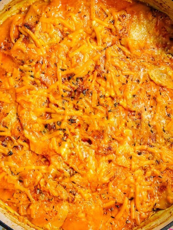 sweet potato gratin in a pan.