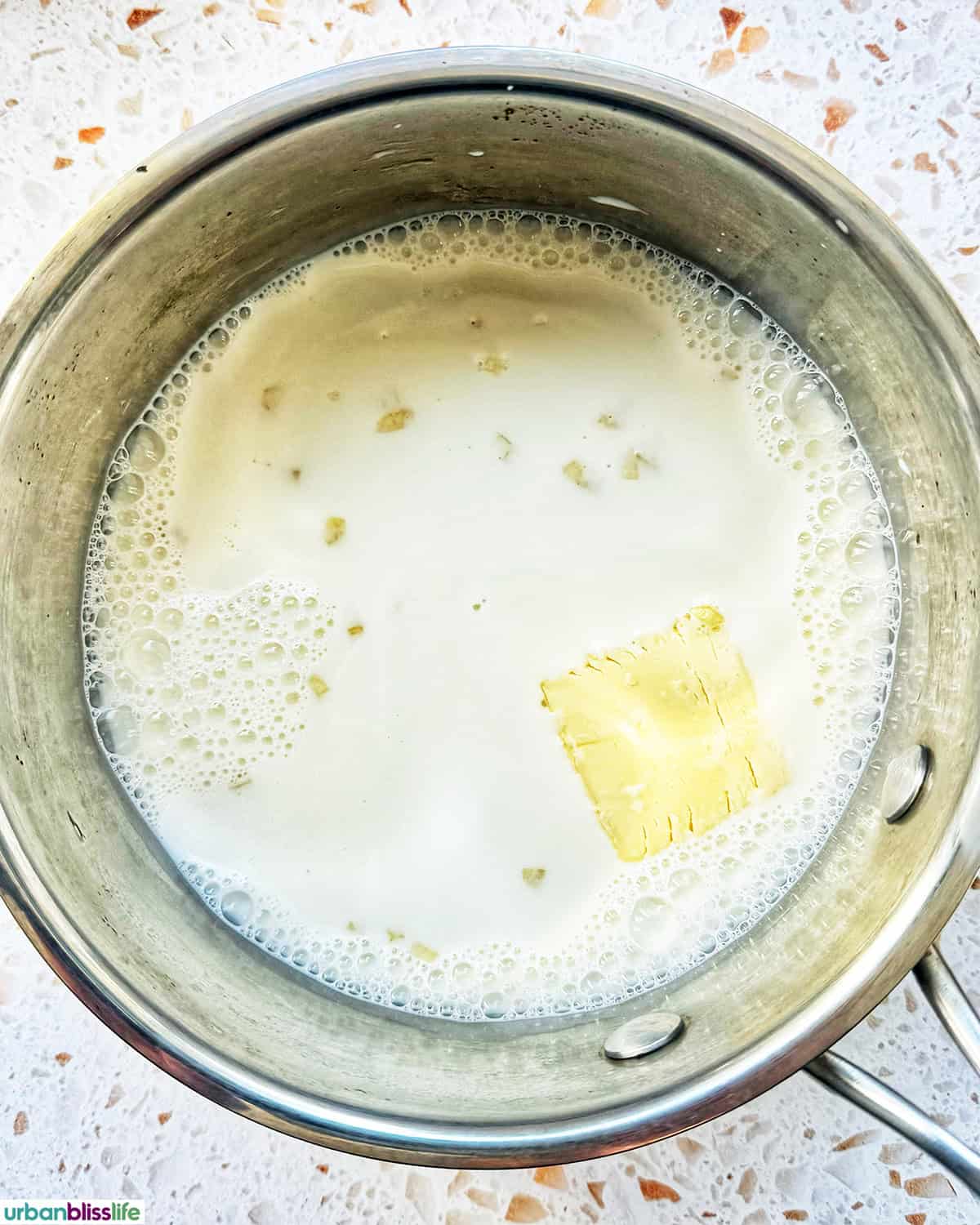 milk sauce for gratin.