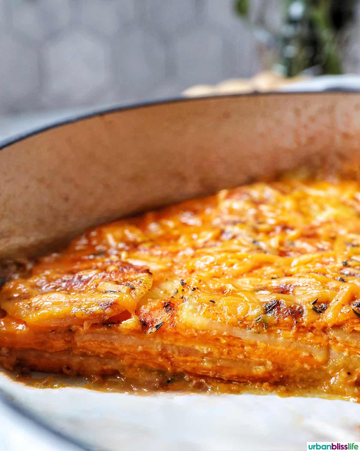 sweet potato gratin in a pan.