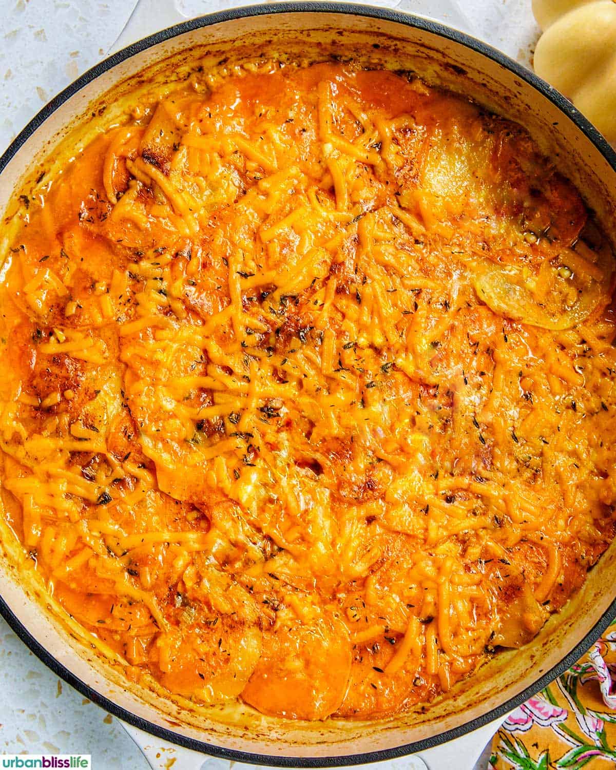sweet potato gratin in a pan.