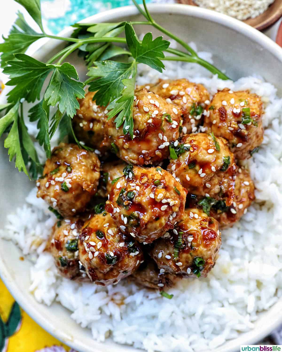 turkey teriyaki meatballs with rice.