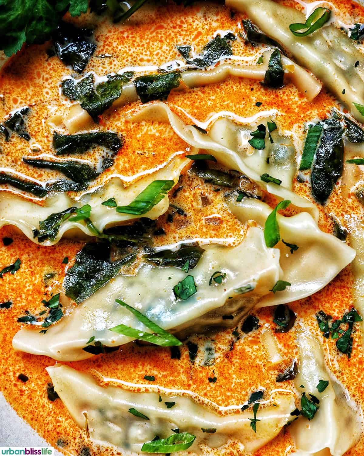 Thai red curry dumpling soup.