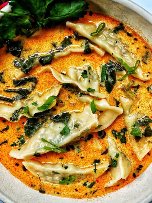 bowl of Thai red curry dumpling soup.