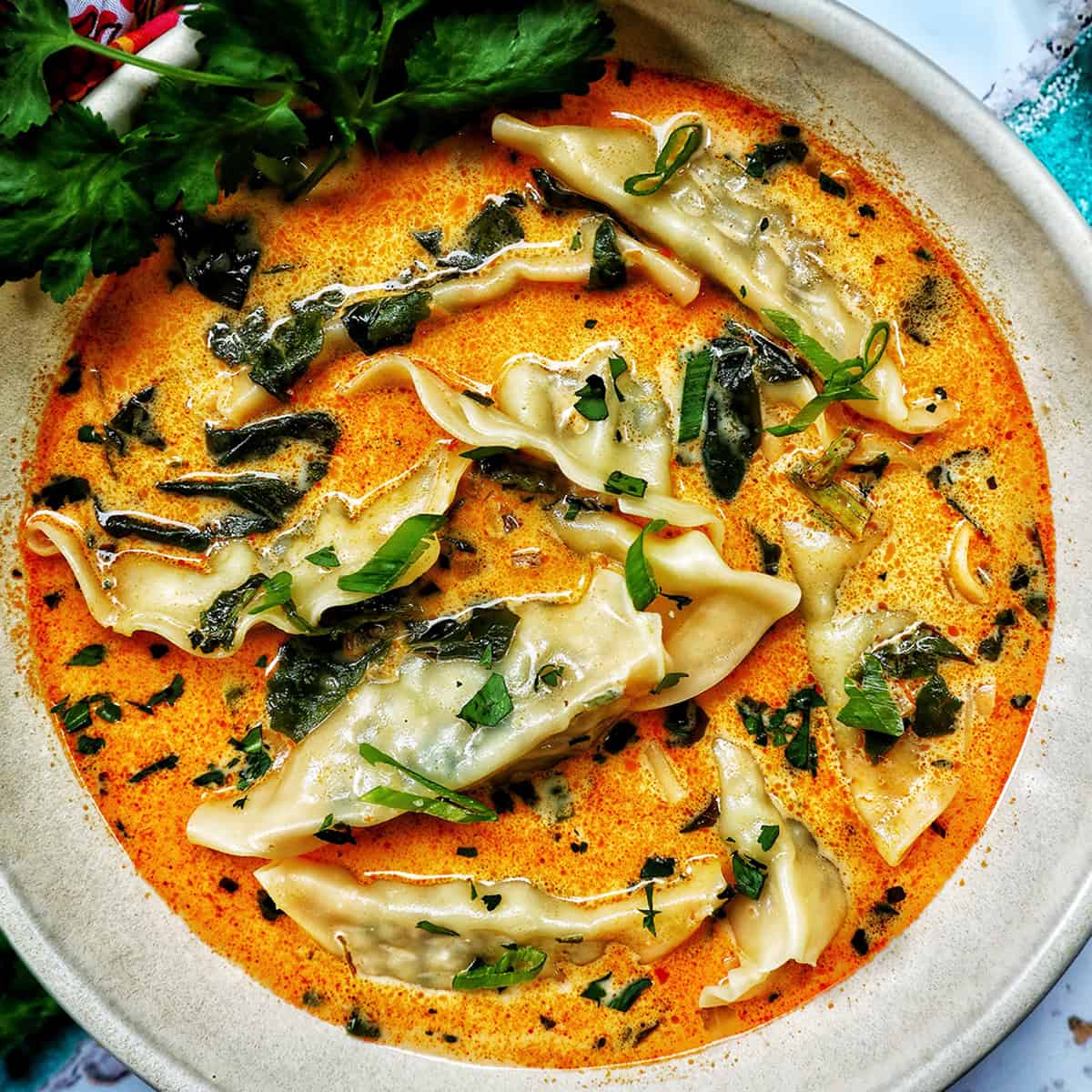bowl of Thai red curry dumpling soup.