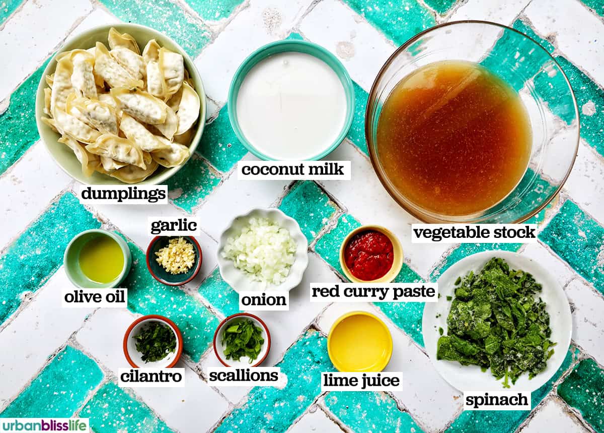 ingredients to make Thai red curry dumpling soup.