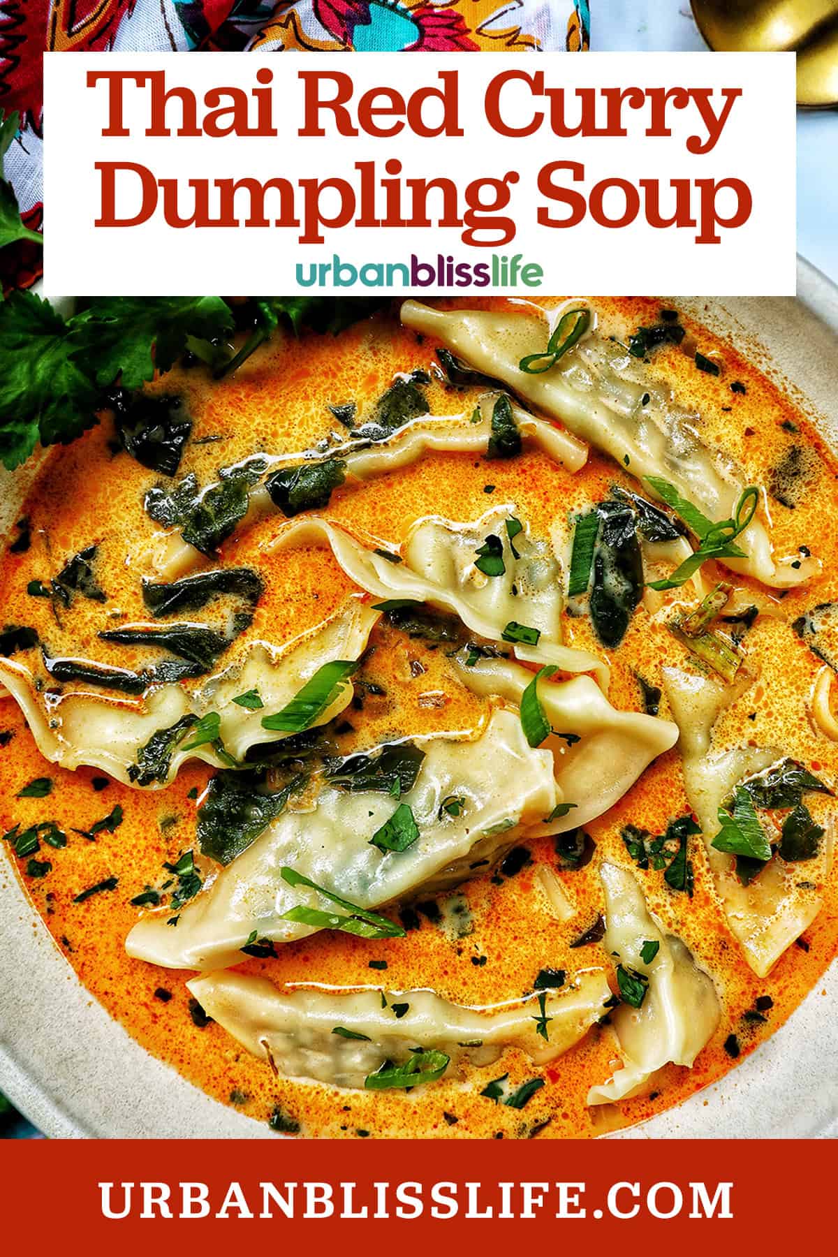 bowl of Thai red curry dumpling soup with title text overlay.