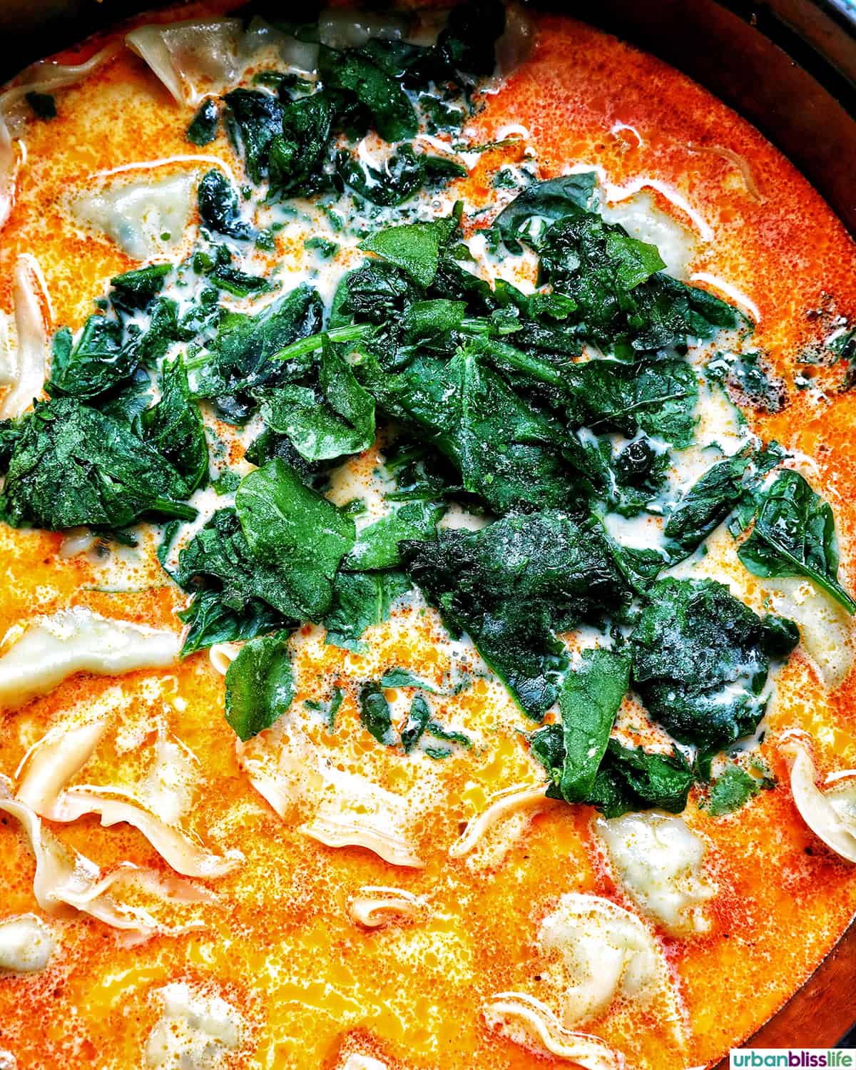 spinach added to Thai red curry dumpling soup.