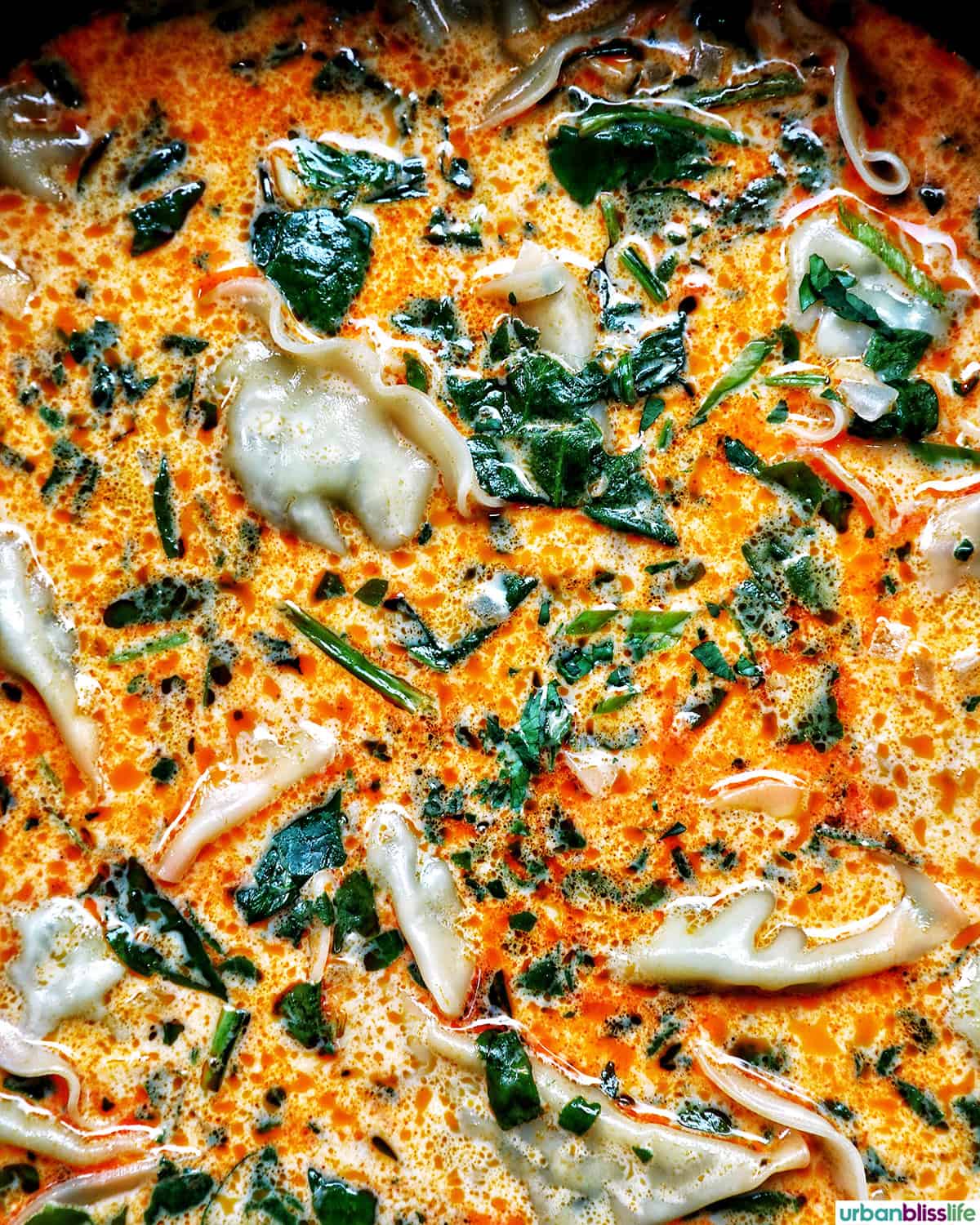 Thai red curry dumpling soup.