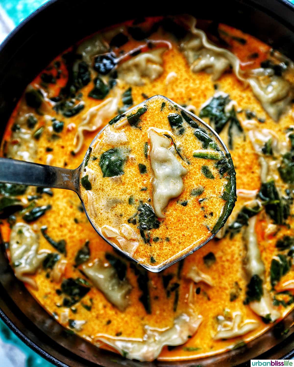 ladle in a pot of Thai red curry dumpling soup.