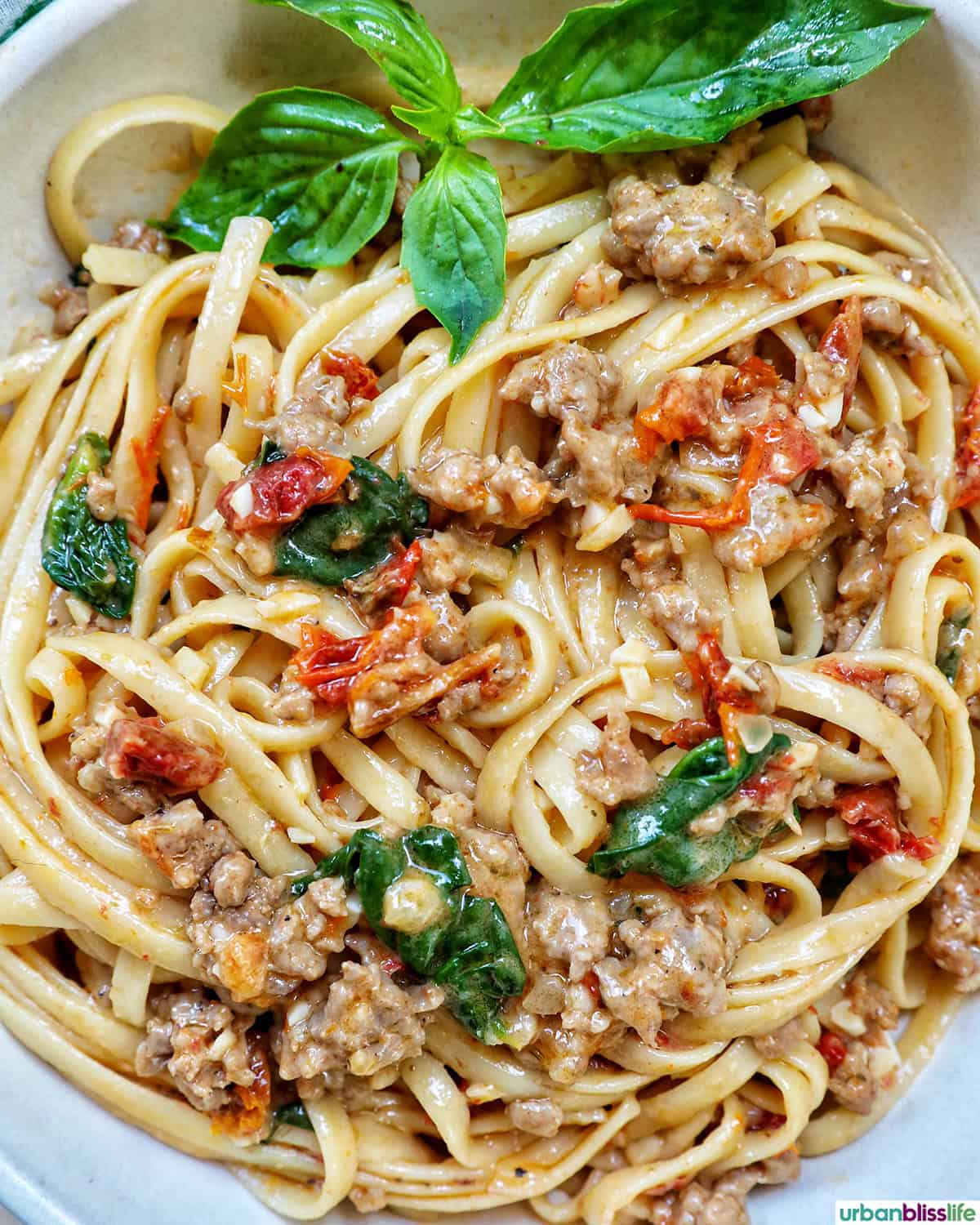 bowl of Tuscan Sausae Pasta.