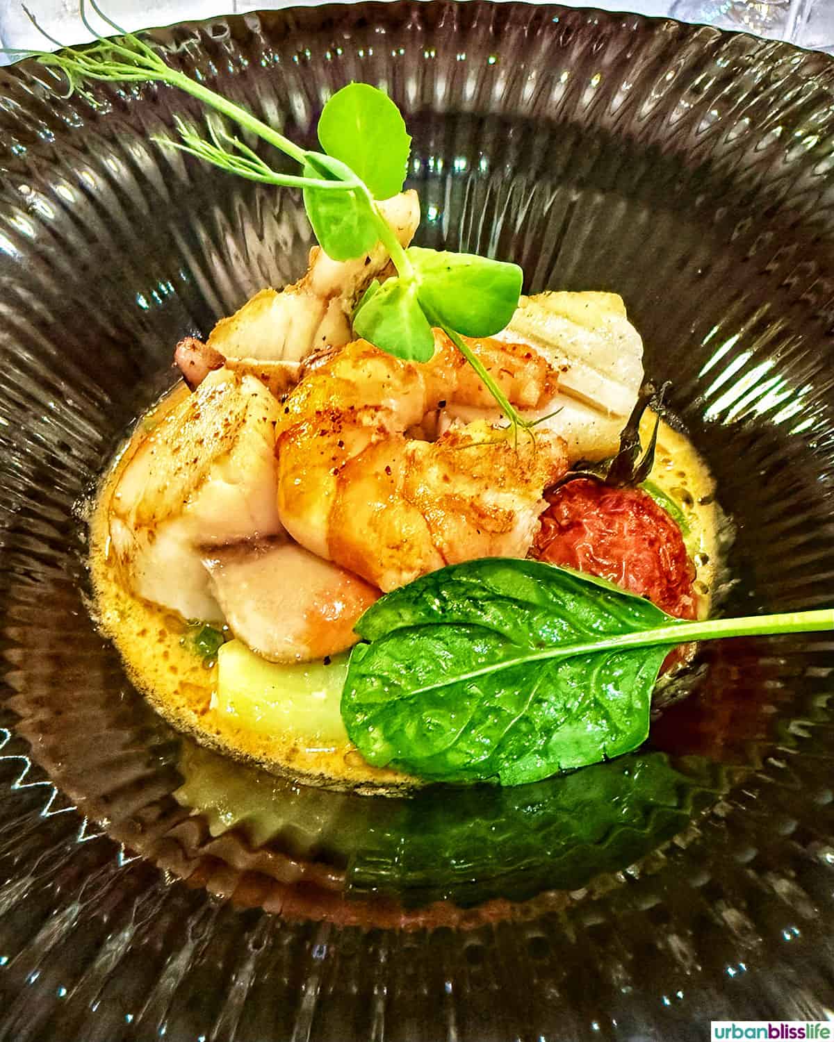 scallops and prawns at l'imparfait in bergerac, france
