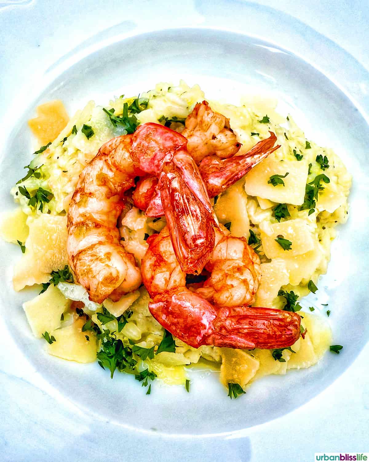 prawns risotto at pinocchio restaurant in montpellier, france