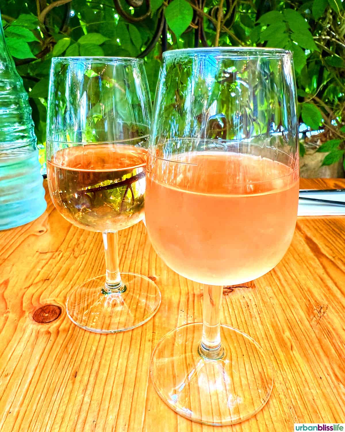 rose and white wine at Quai Salvette in bergerac, france