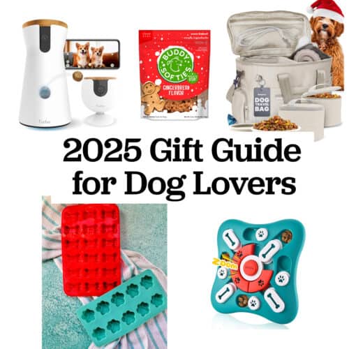 2025 gifts for dog lovers.