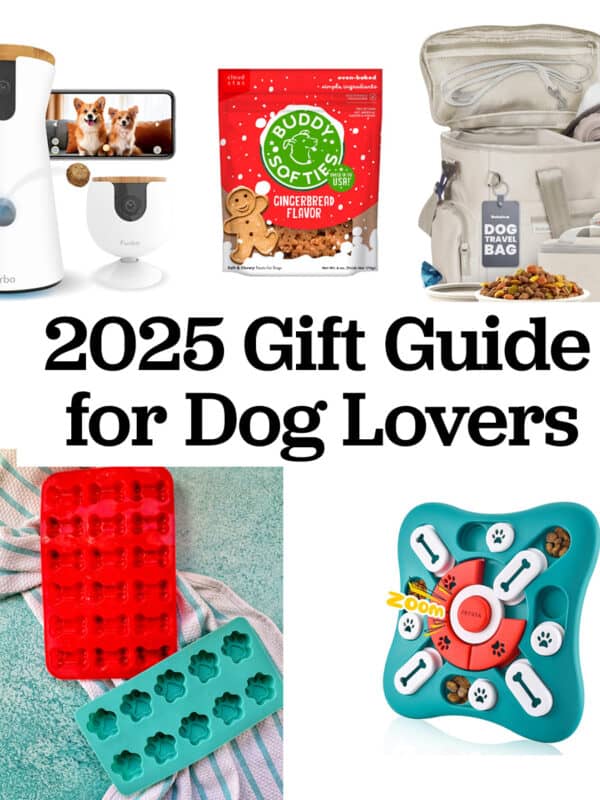2025 gifts for dog lovers.