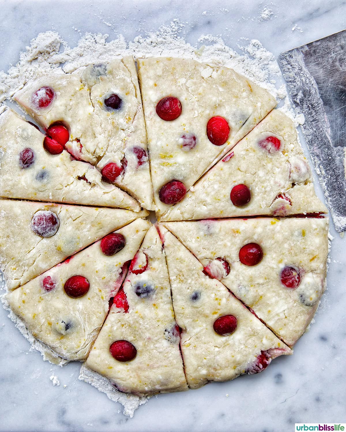 orange cranberry scone dough in a circle, sliced.