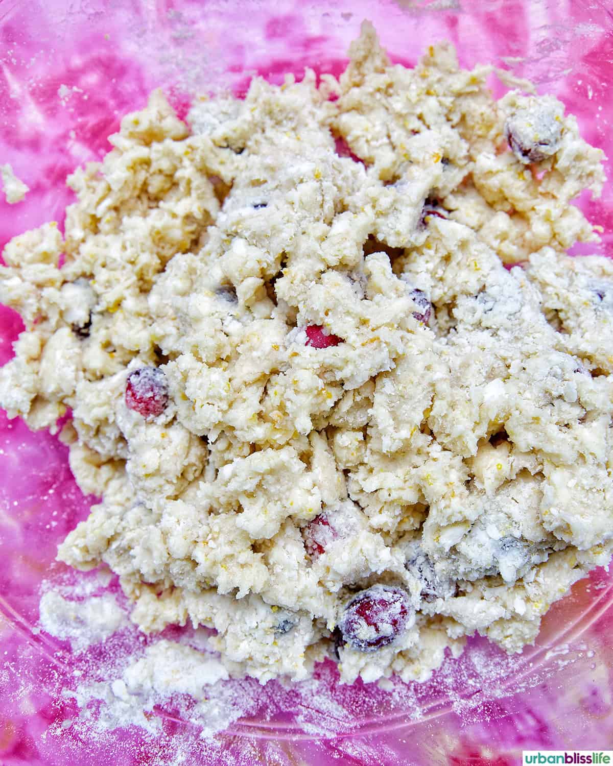 orange cranberry scone dough.