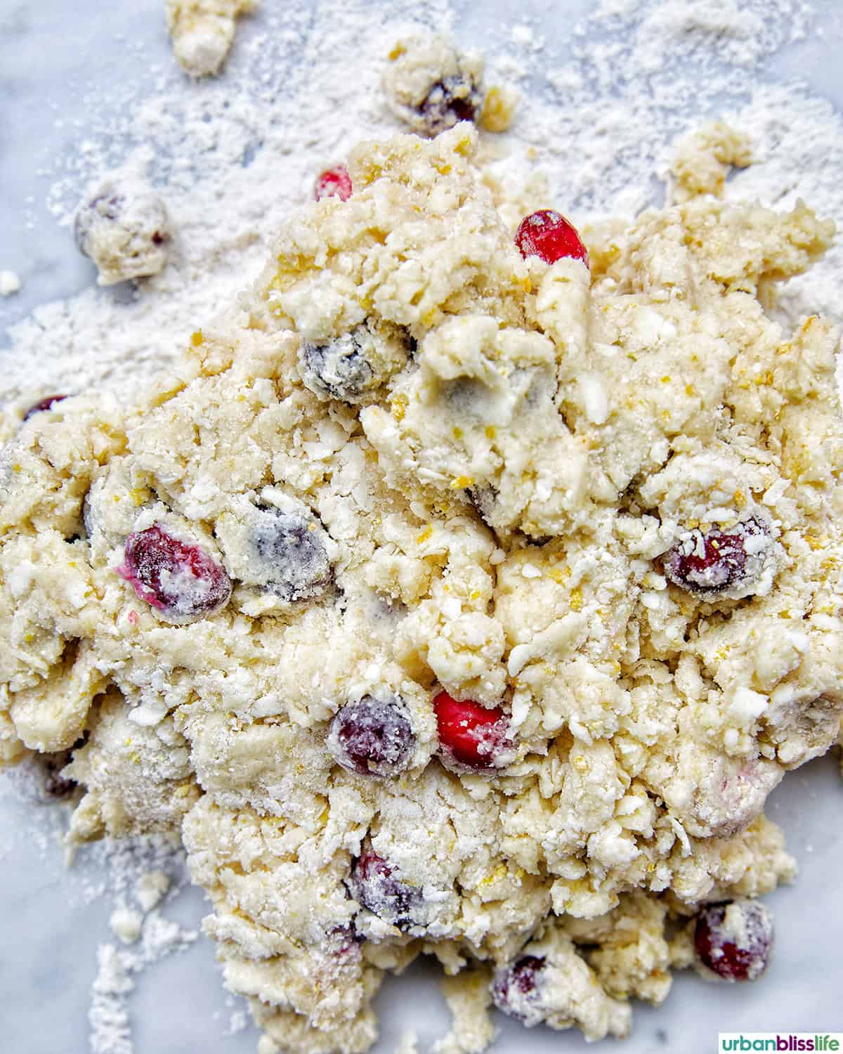 orange cranberry scone dough.