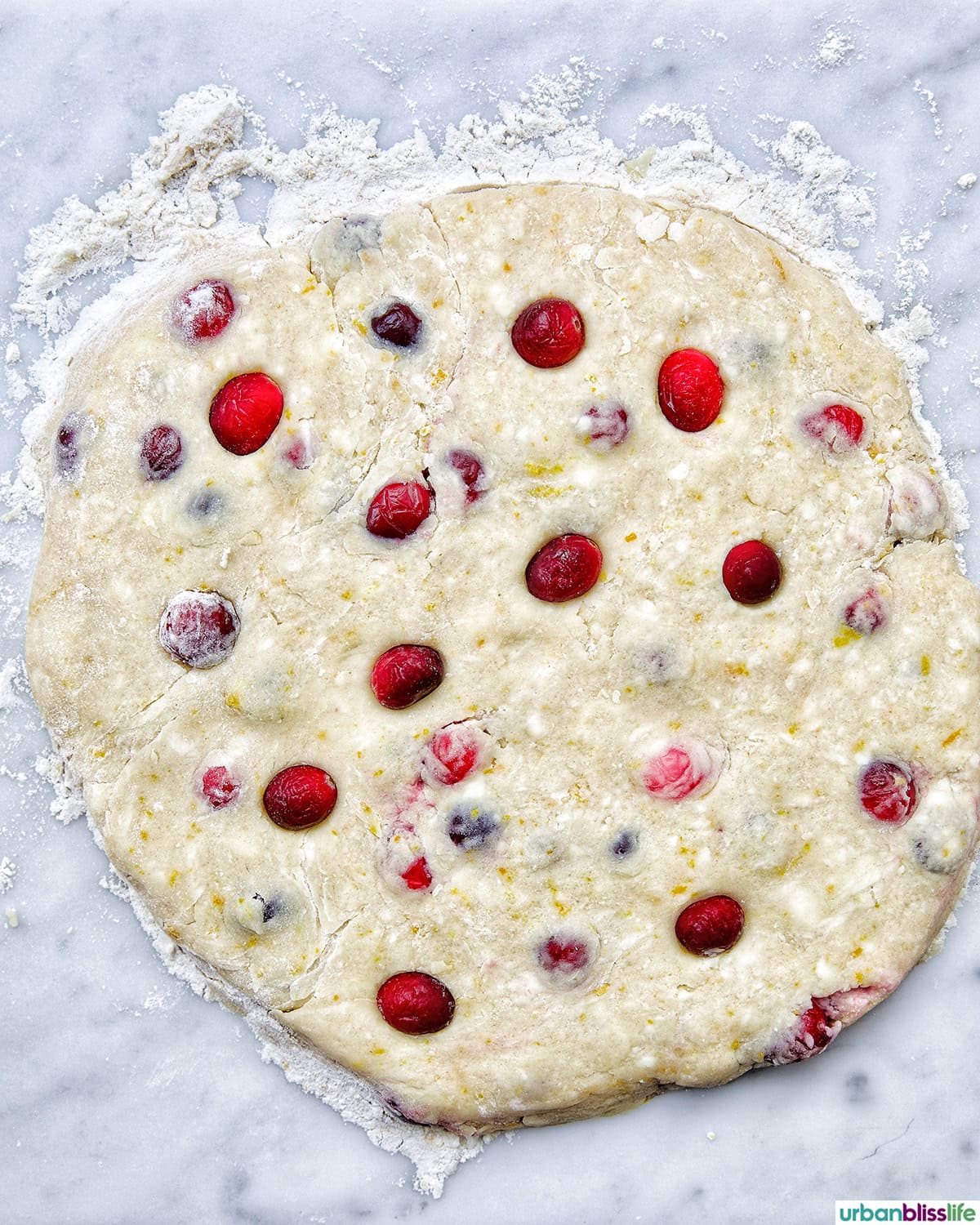 orange cranberry scone dough in a circle.