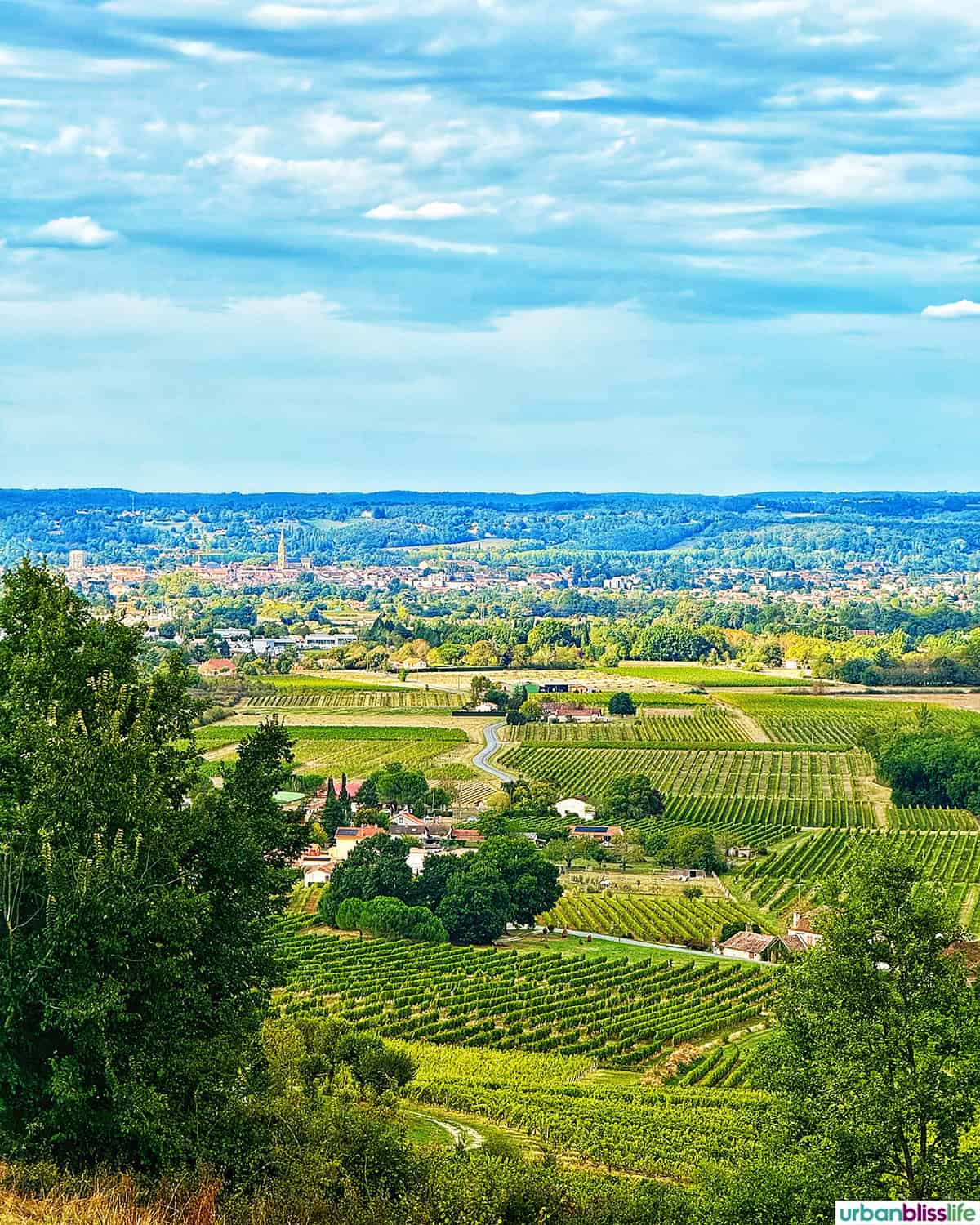 views from chateau de monbazillac in france