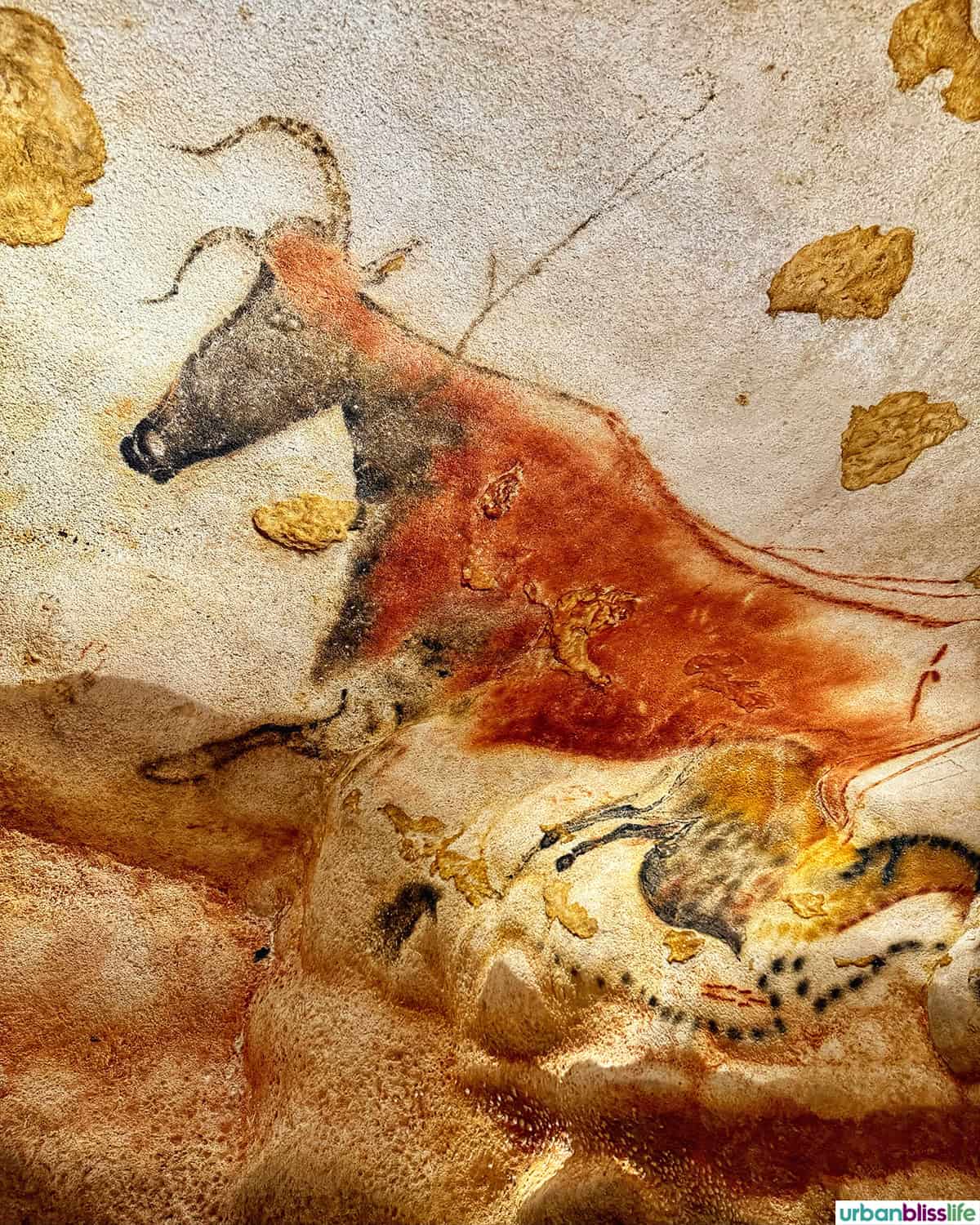 red bull drawing at lascaux caves