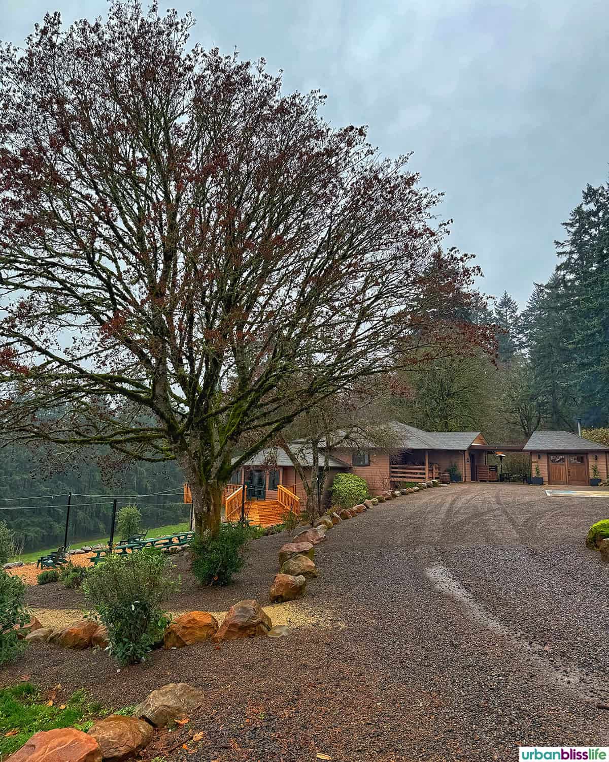 Evening Land Vineyards wine tasting buildings and picnic area.