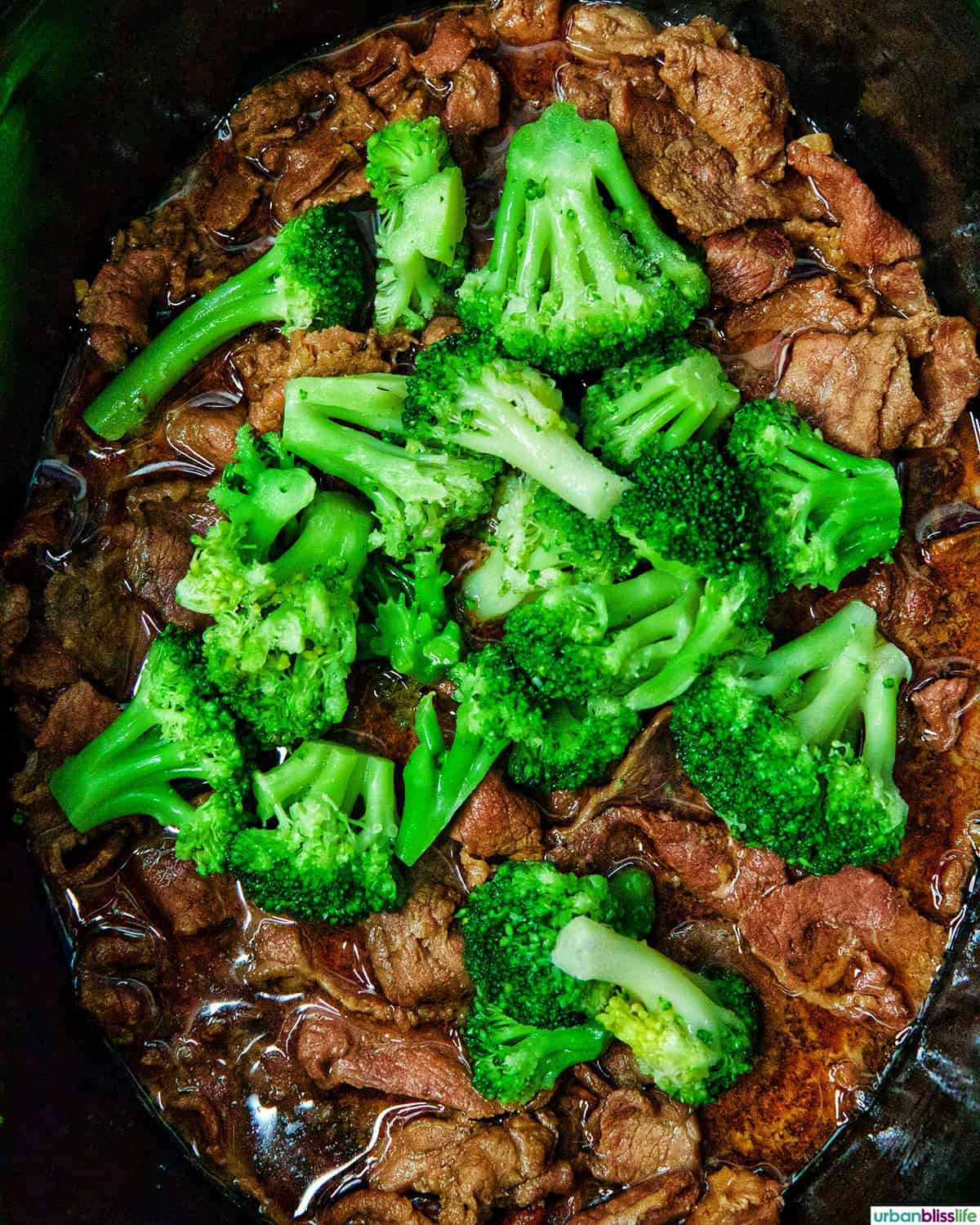 broccoli added to sliced beef in a Dutch oven.