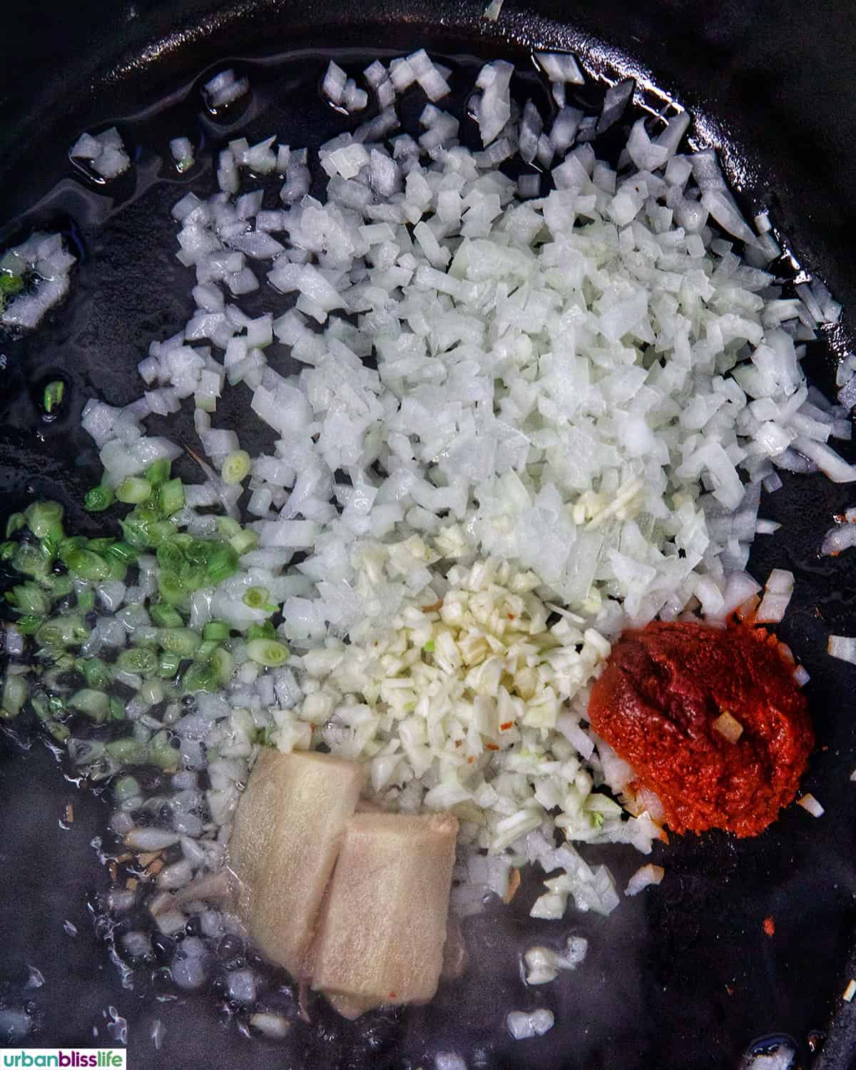 garlic, onions, ginger, red curry paste and lemongrass in a Dutch oven.