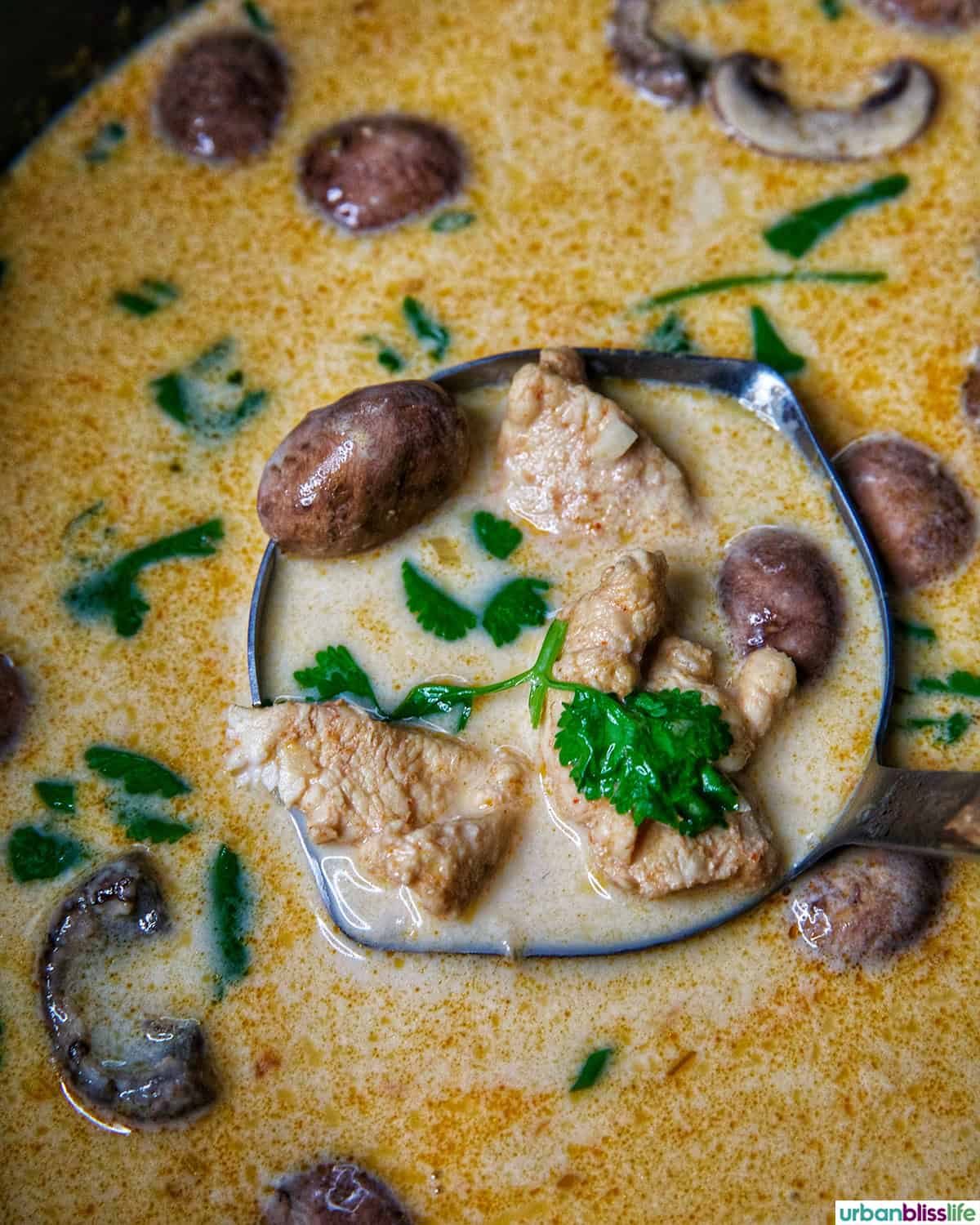 ladle full of Thai Coconut Chicken Soup (Tom Kha Gai).