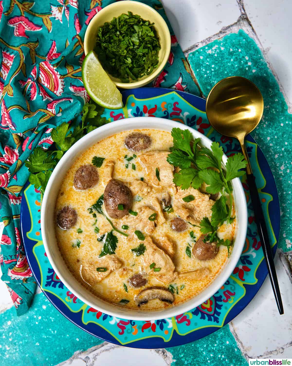 bowl of Thai Coconut Chicken Soup (Tom Kha Gai).