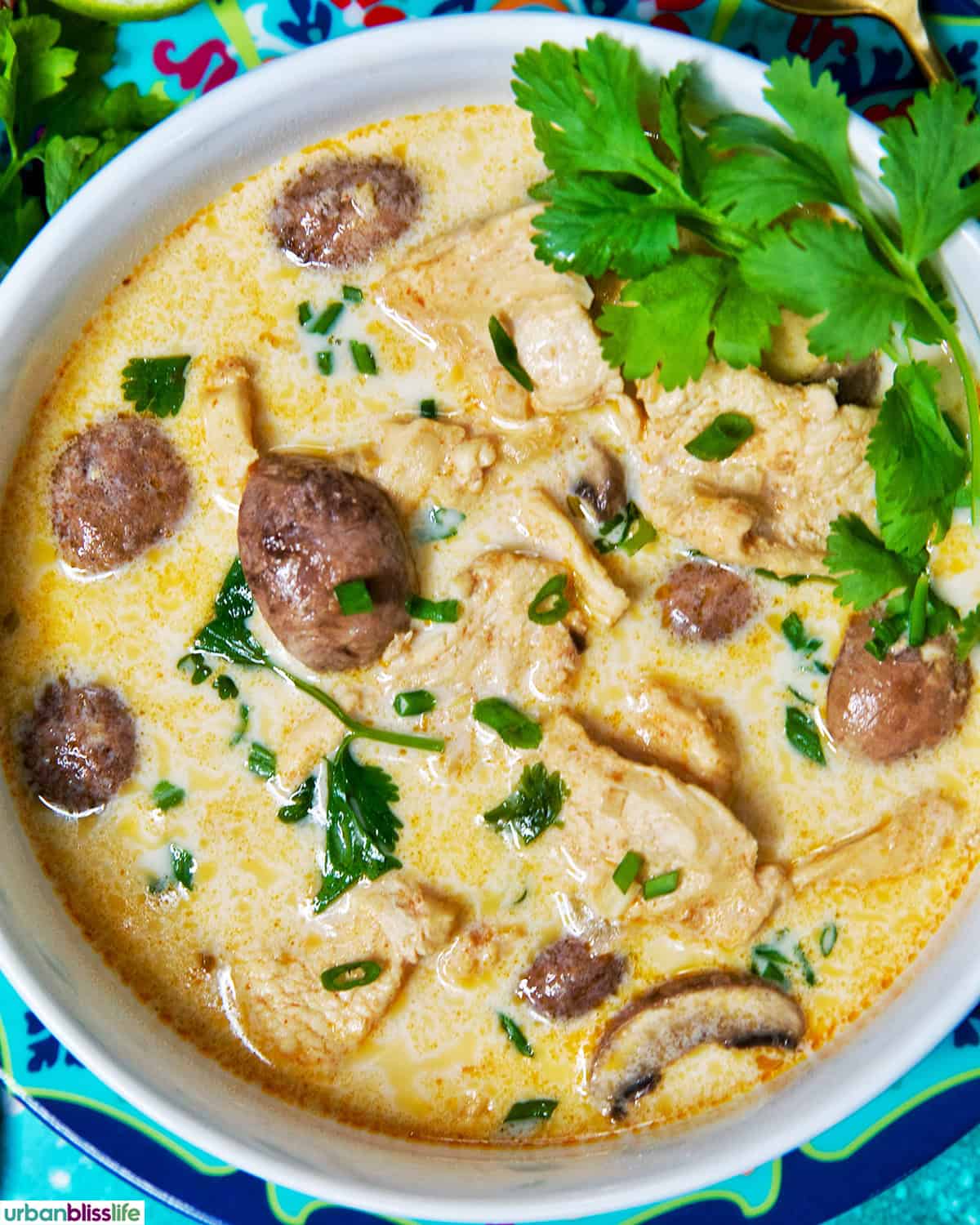 bowl of Thai Coconut Chicken Soup (Tom Kha Gai).