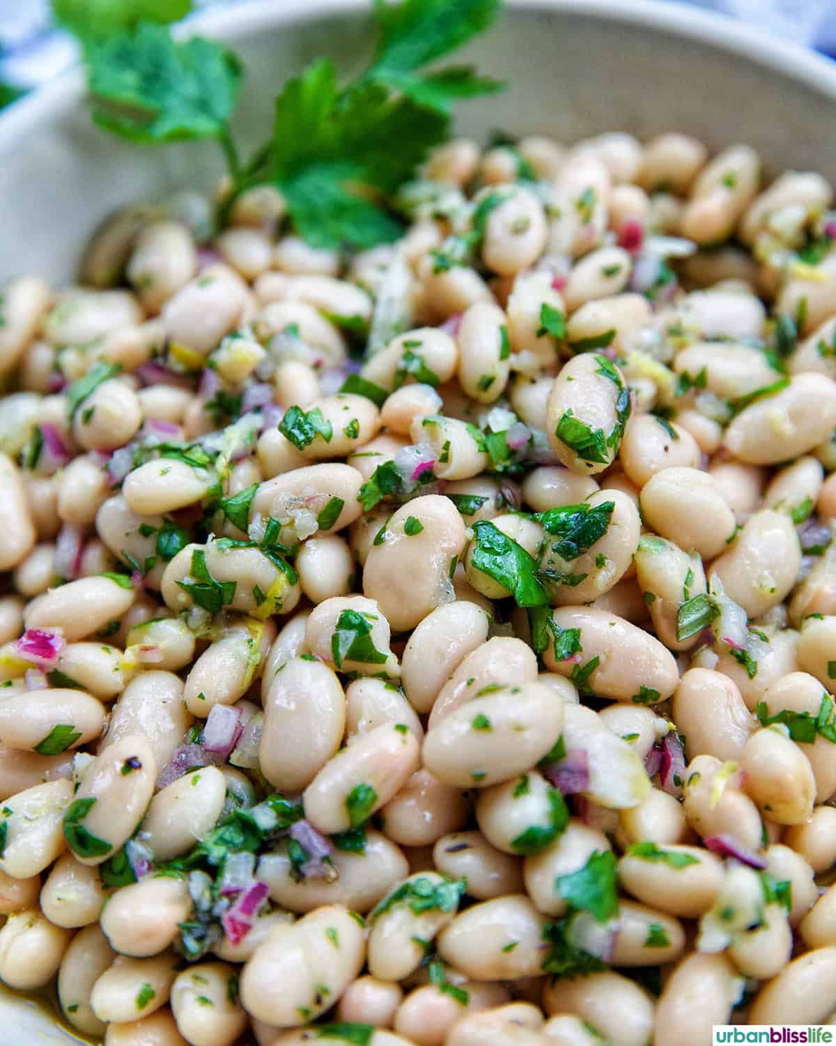 bowl of white bean salad.