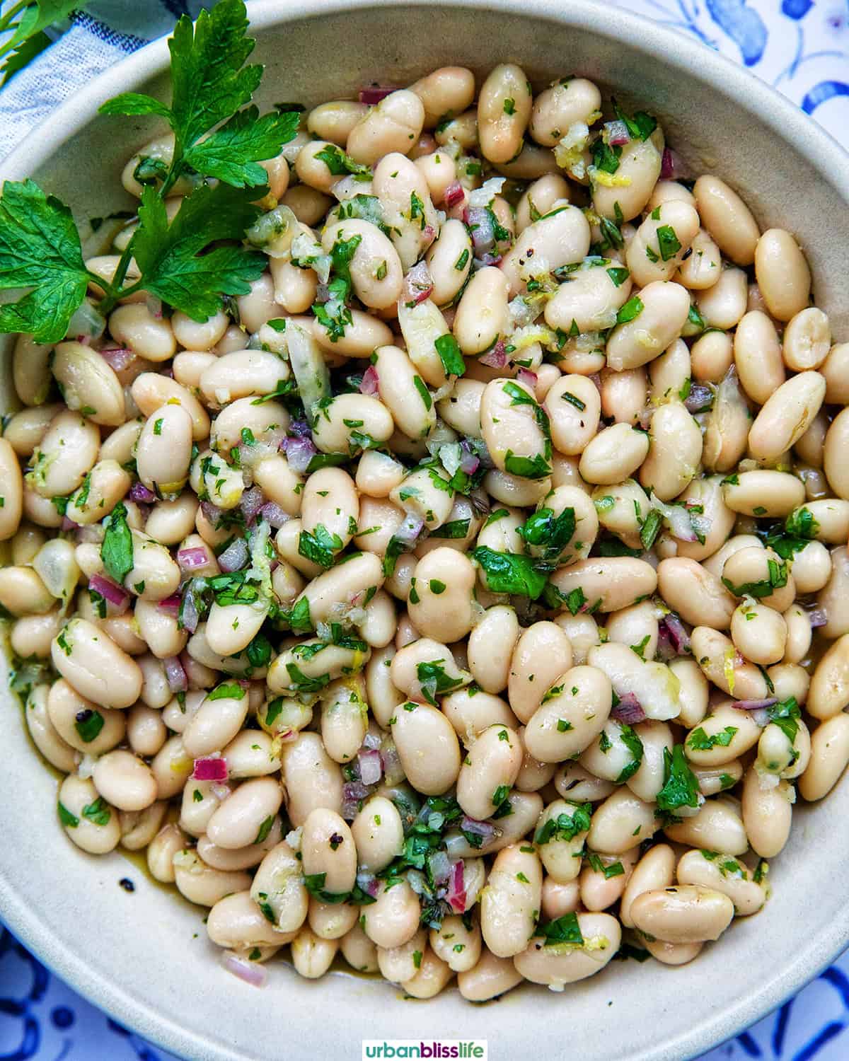 bowl of white bean salad.