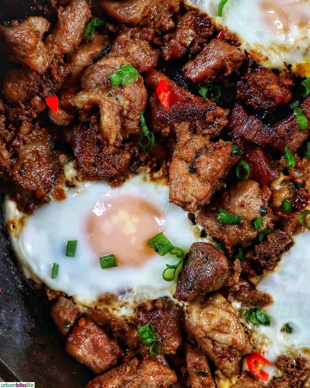Filipino pork sisig with fried egg on top..