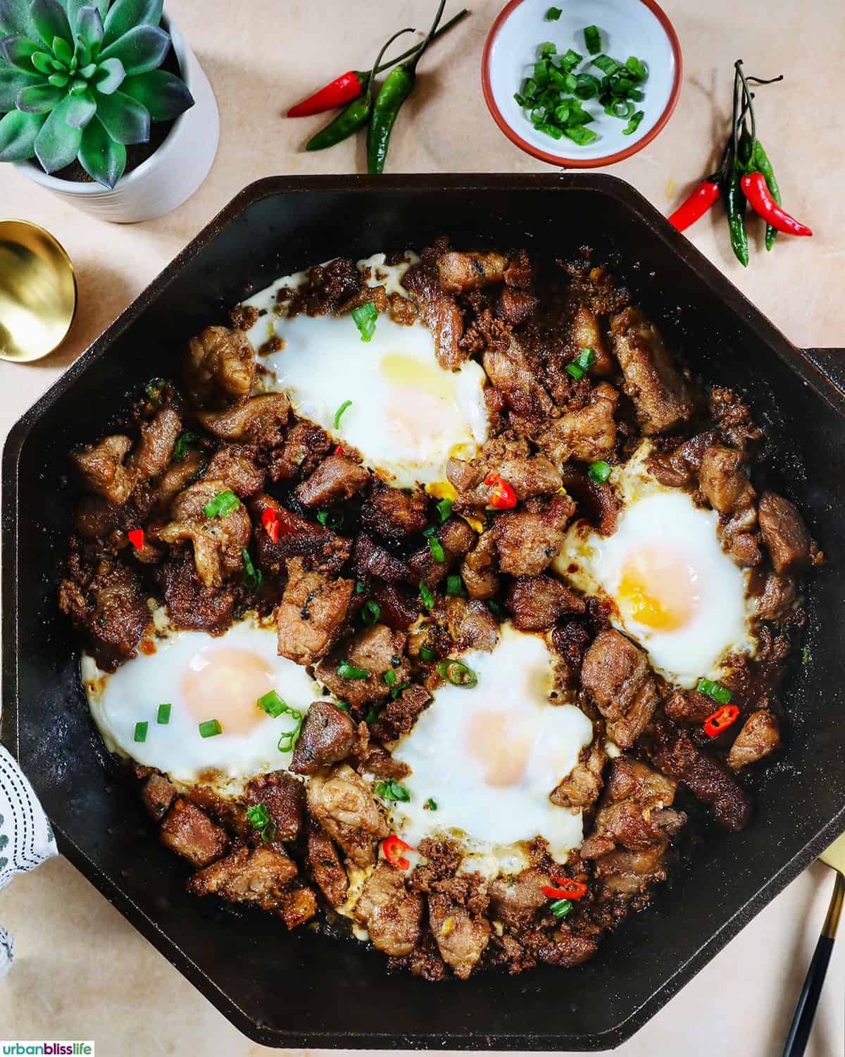 Filipino pork sisig with fried eggs on top.