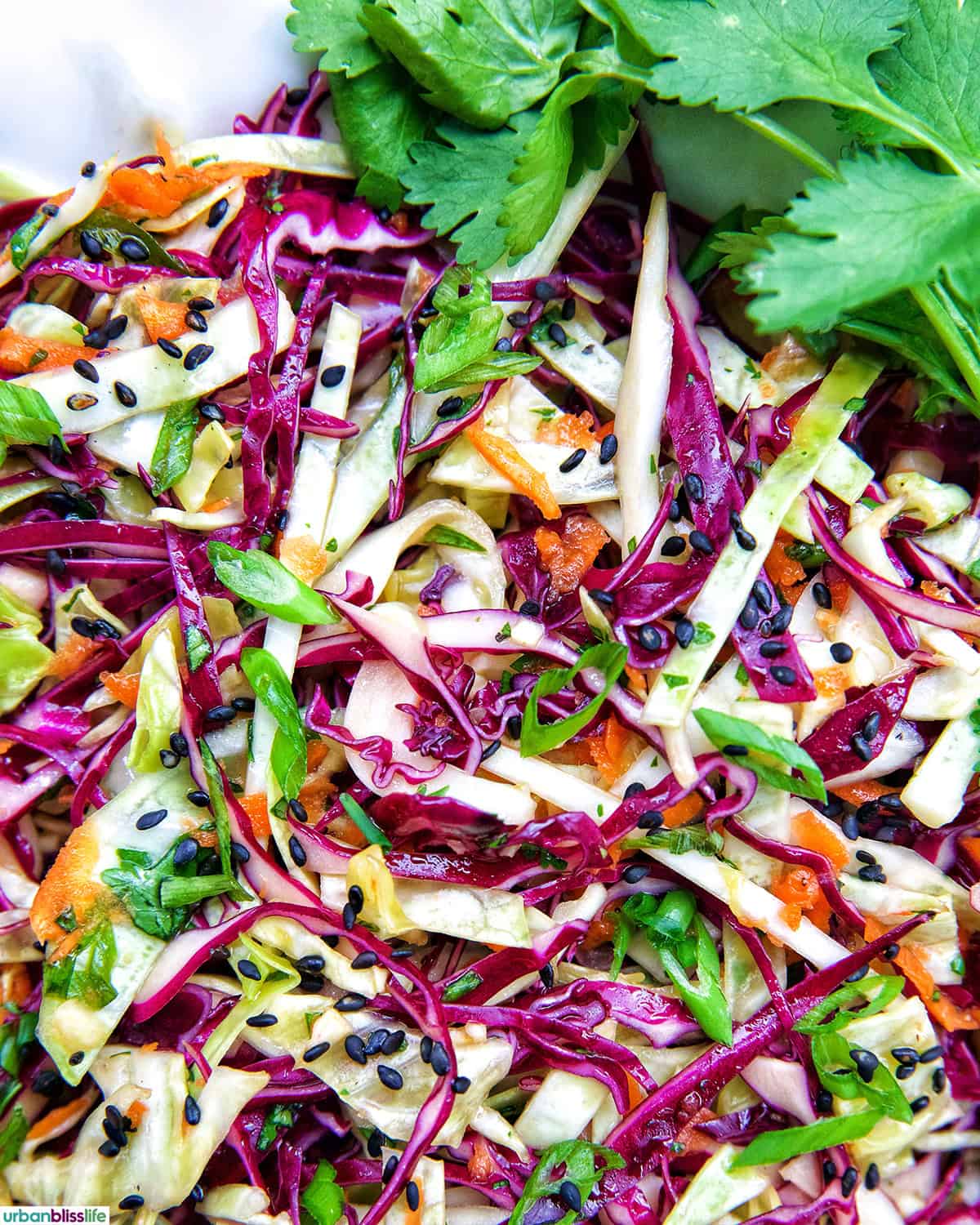 Asian cabbage coleslaw.