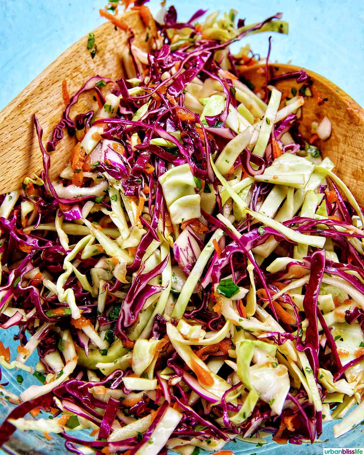 Asian cabbage coleslaw in a bowl with wooden utensils.