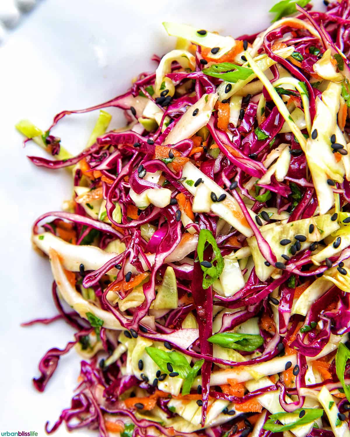 Asian cabbage coleslaw.