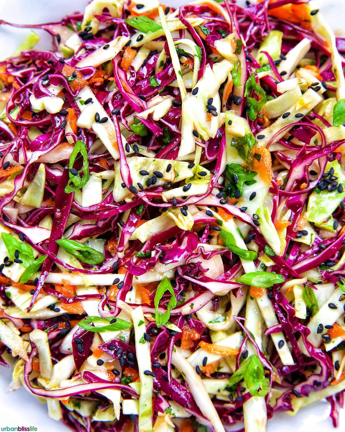 Asian cabbage coleslaw.